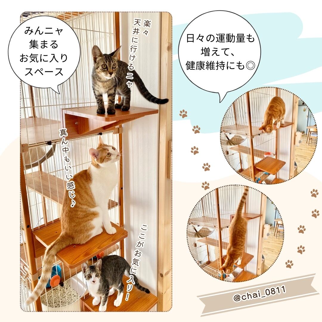 メーカー直送品【ienekoケージオプション（猫ステップ スリム
