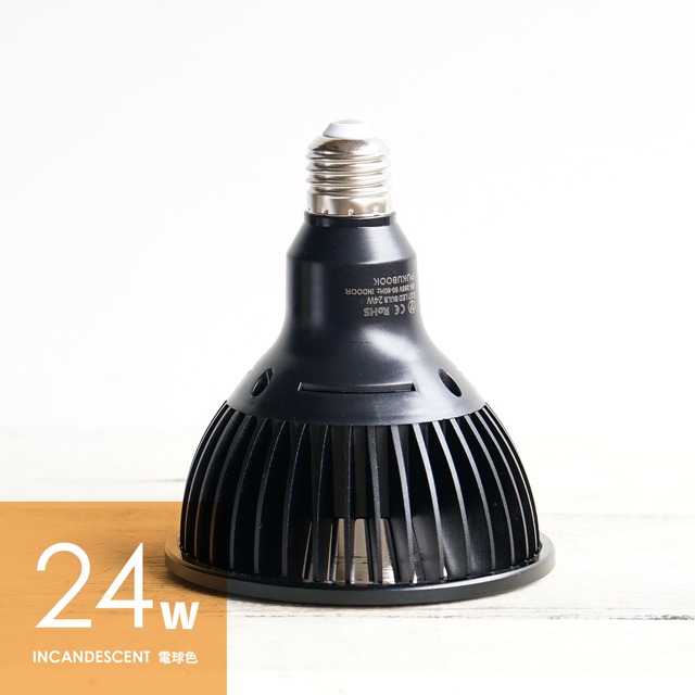 LEDライト 小型AS型 24W 電球色 ブラック