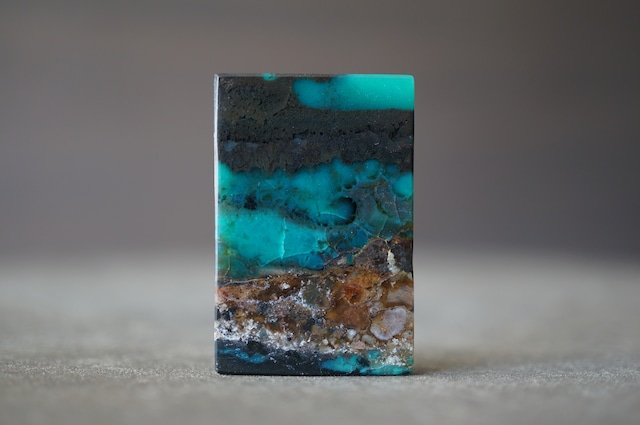 インドネシア産ブルーペトリファイドウッド Blue Opalized Petrified Wood 1975