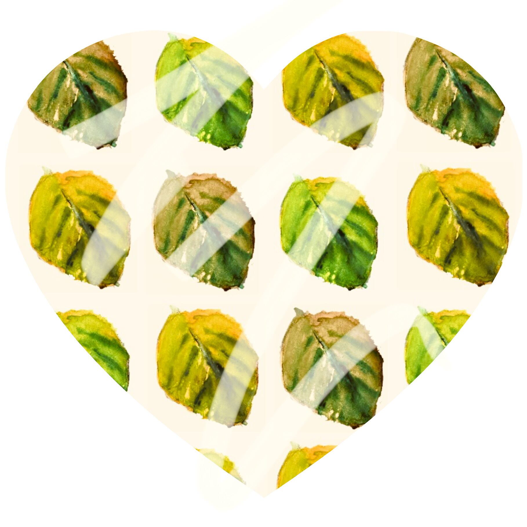 セット グラフアートのポストカードは２枚あります Yuko Kurihara ポストカード CWプリント〔アート タッチ