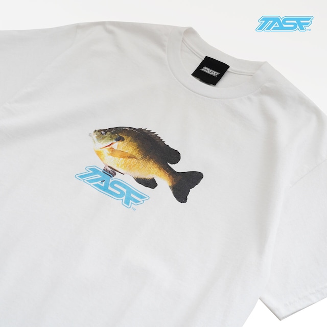 TASF  /  ギルTee  /  White