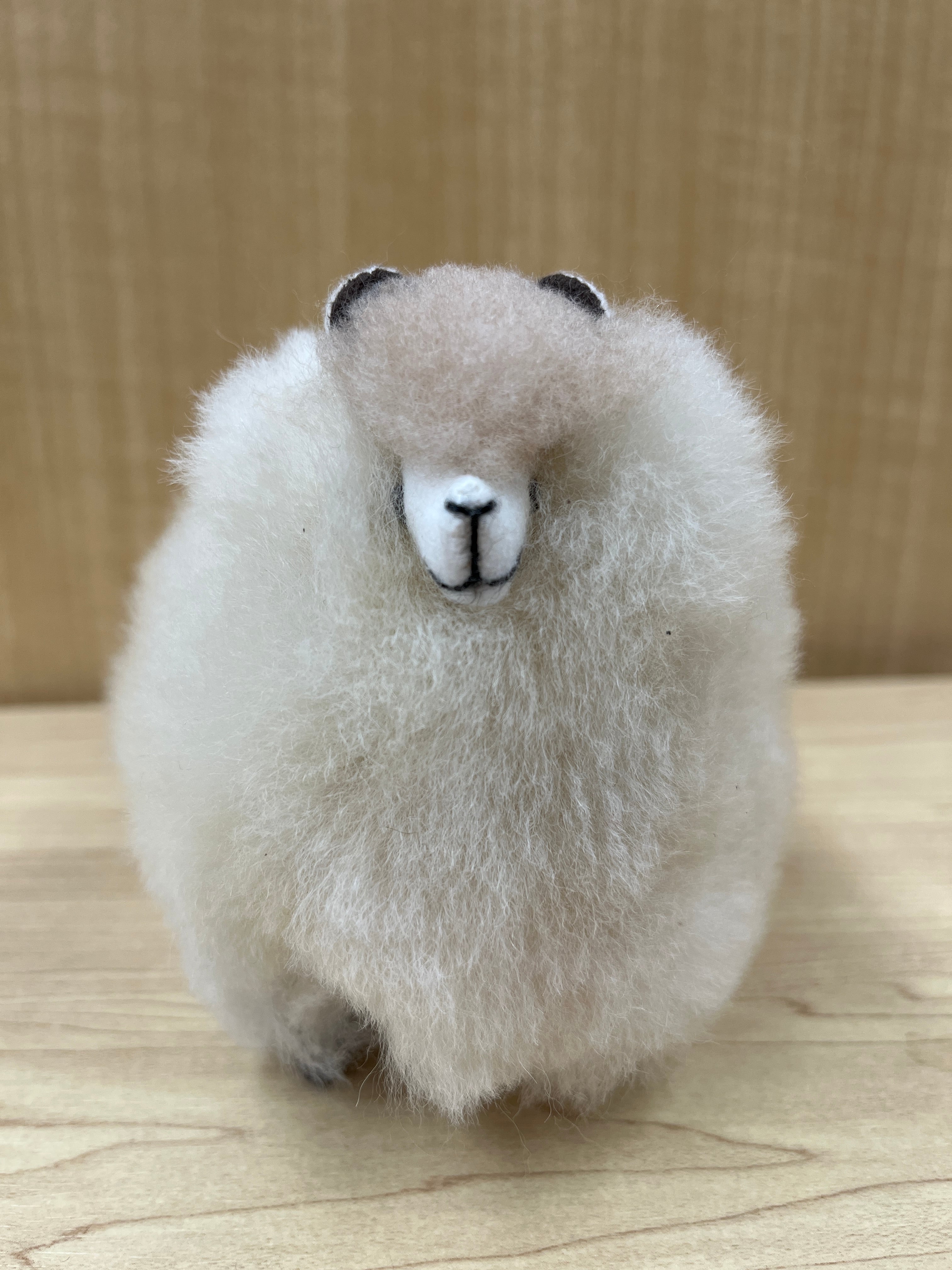 ALPACA WORLD