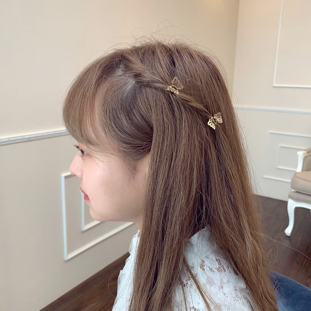 butterfly hair clip set