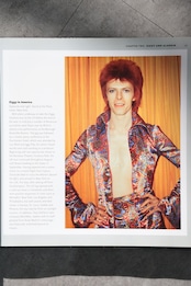 David Bowie 2011 "The Illustrated Biography DAVID BOWIE"