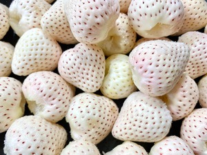 冷凍いちご (雪うさぎ) 1kg