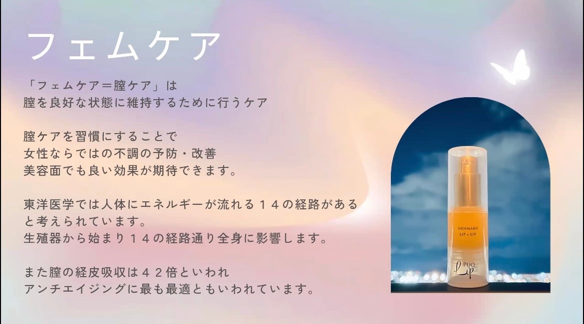 NENMAKU LIP x LIP プックリップ 15g 2本セット NENMAKU LIP x LIP プックリップ 15g 2本セット 【公式通販】