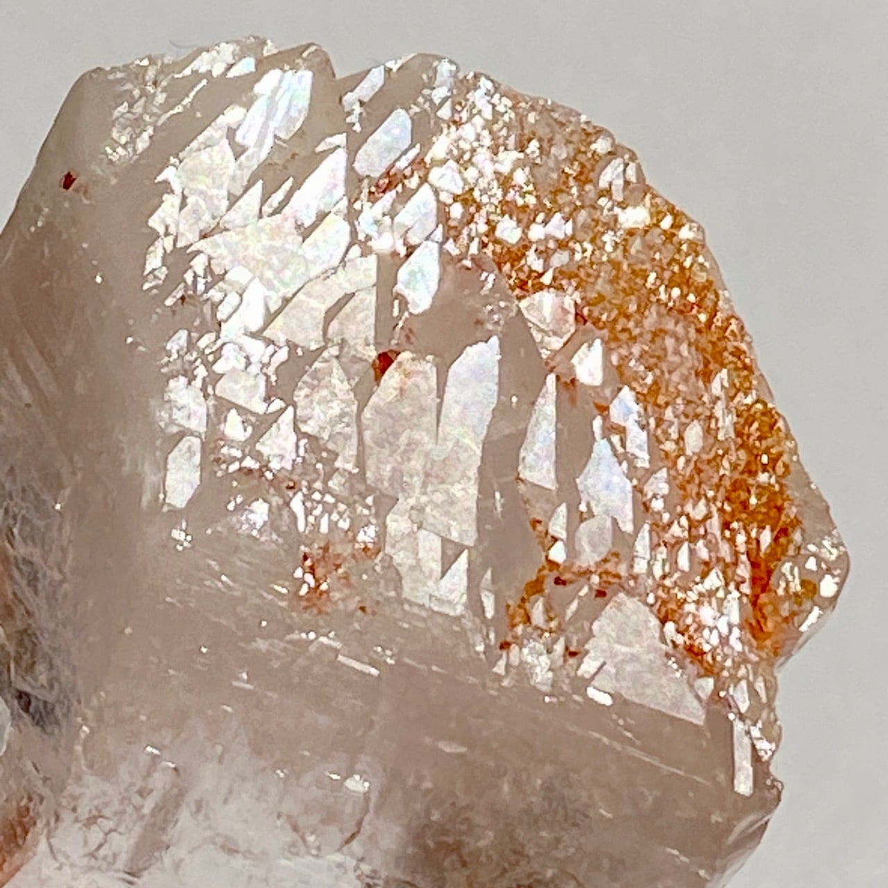 Big 315g♡ 酸化鉄付♡ セルフヒールド♡レムリアンシード