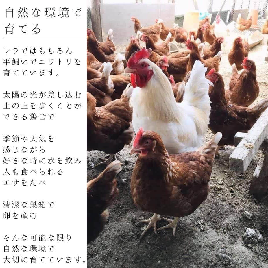 6個パック】北海道東川町 ファームレラ 大雪なたまご ◇ 平飼い 自然卵