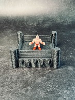 Hell's WrestlingRing ー地獄のリングー