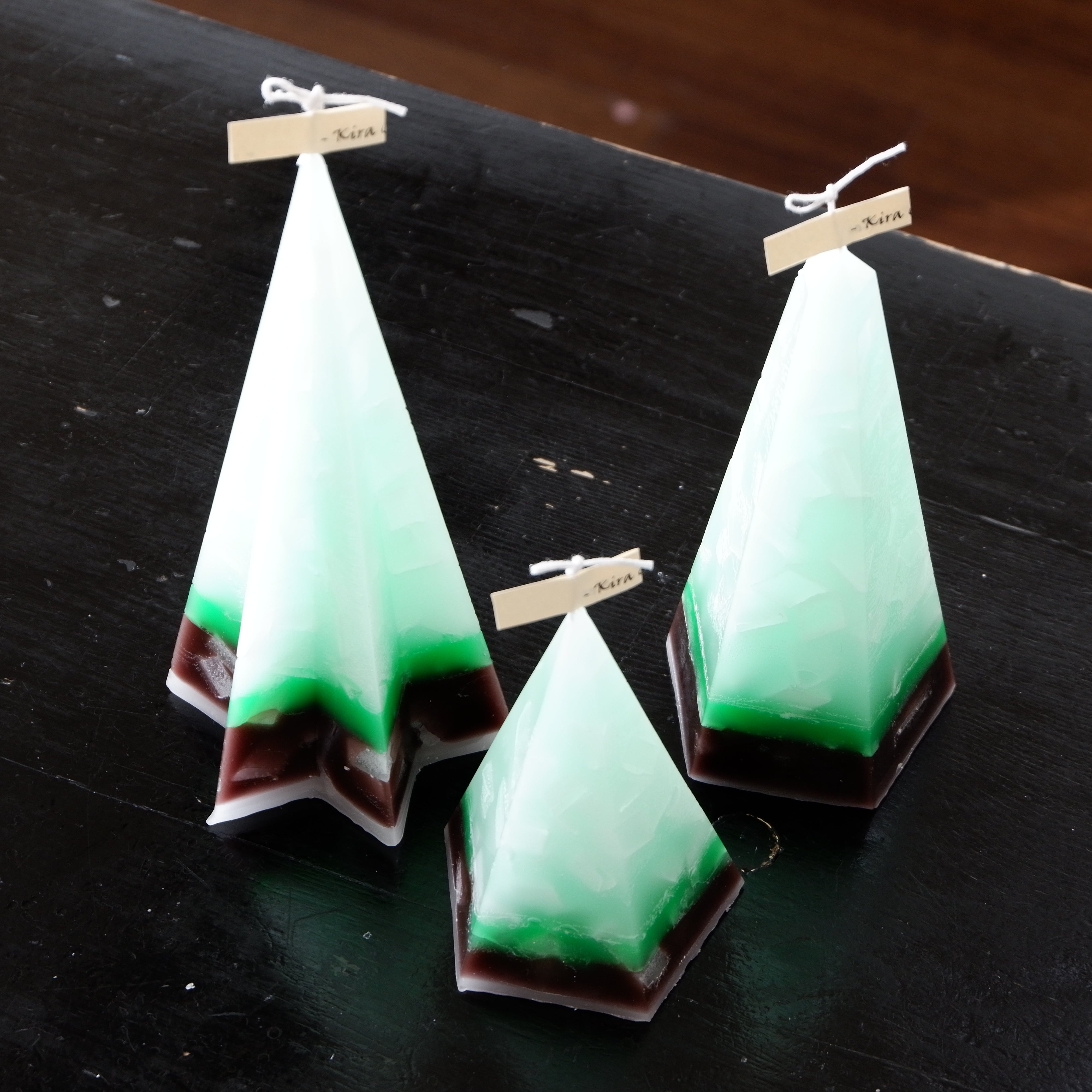 アロエ TCT Starry Night “選抜個体” 「Aloe Hybrid Starry Night