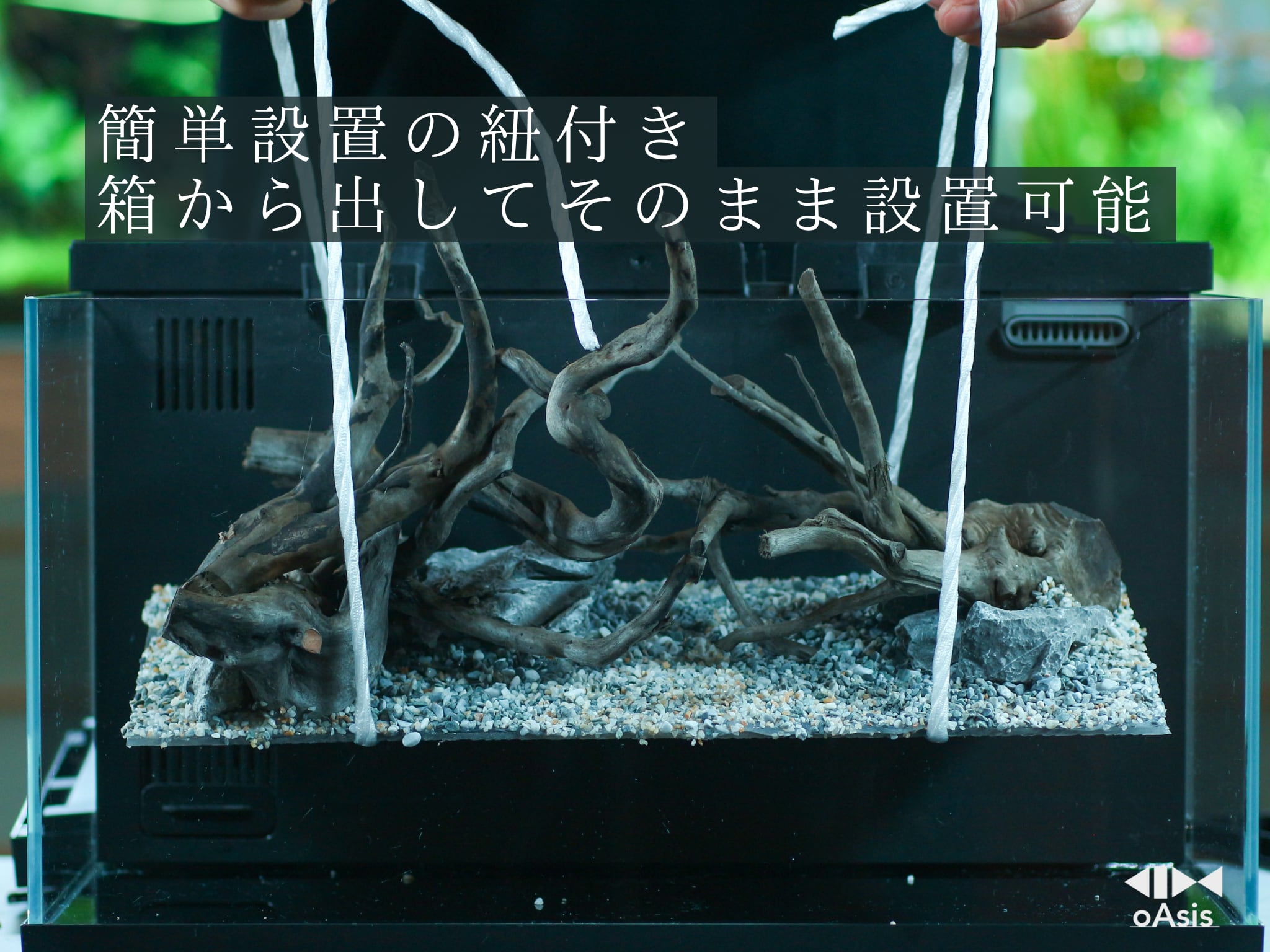 Biorium専用アクアリウムレイアウトベース スタンダードプラン | 水槽