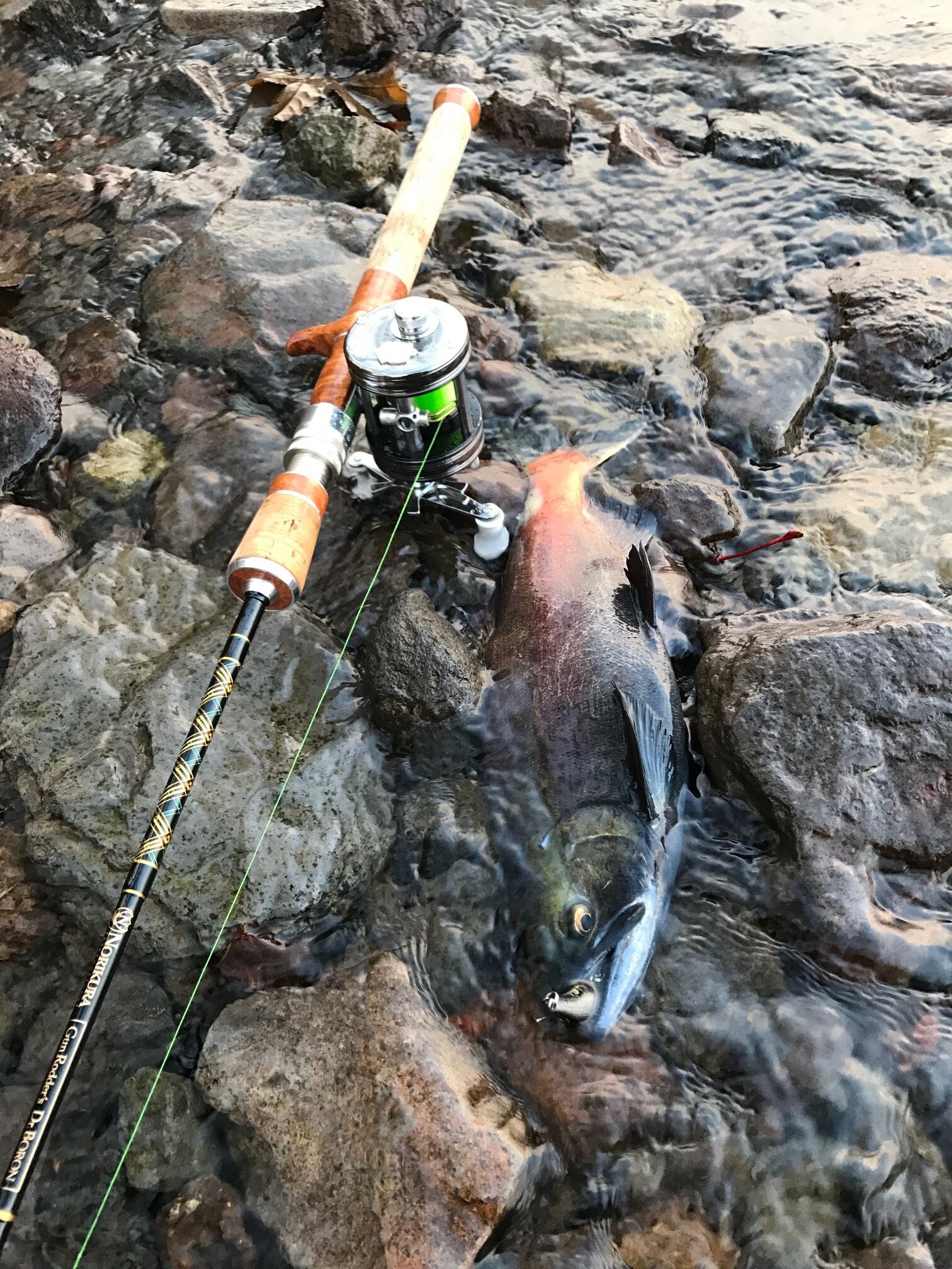Dr. BORON PLUGGIN' BAITCAST 58H | saurusjunior