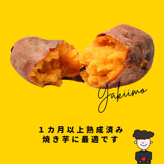 安納芋(５kg）栽培期間中農薬不使用／熟成１ヵ月以上でお届け！(滋賀県産)・(さつまいも)・(土付き)