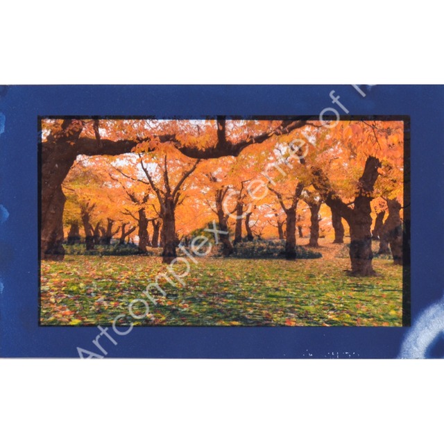 やましたみか「しずかに もえる」