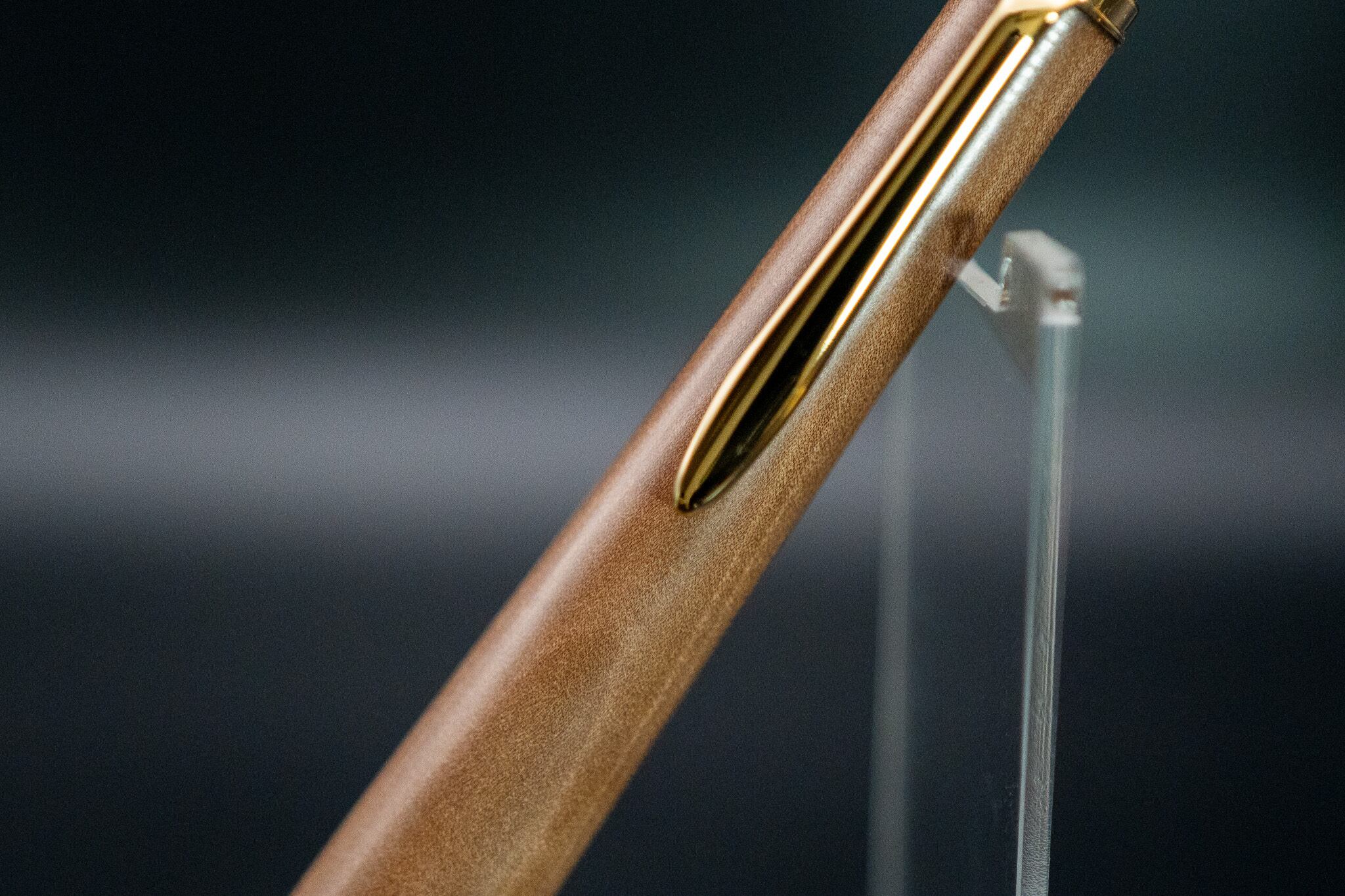 【茶花の女王】椿 gold MP