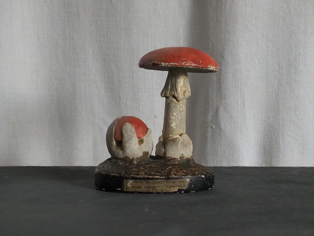 キノコの模型 Amanite des Césars | antique Salon