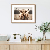 Highland cow｜北欧ナチュラルに合うハイランドカウのアニマルアートポスター｜ふわふわ毛並みが可愛い癒しの一枚｜A2ポスター