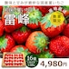 いちご 国産 夏いちご 送料無料 Lサイズ 16個 300g 期間限定 雷峰 希少品 苺 イチゴ 【クール便】