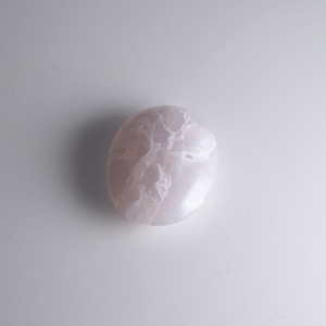 アゲート / ホワイト / パーム