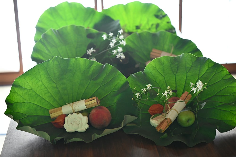 季節のしつらいと花【一回稽古】/動画稽古(初めての方のための稽古です)