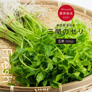 三関のセリ ５束（500g）