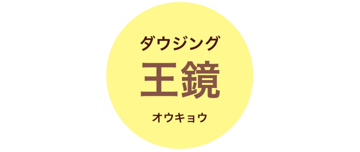 ミューア　磁場調整 ⭕️在庫あり→ 4本 ⭐️磁場調整装置【BEP】(ロング) 送料無料