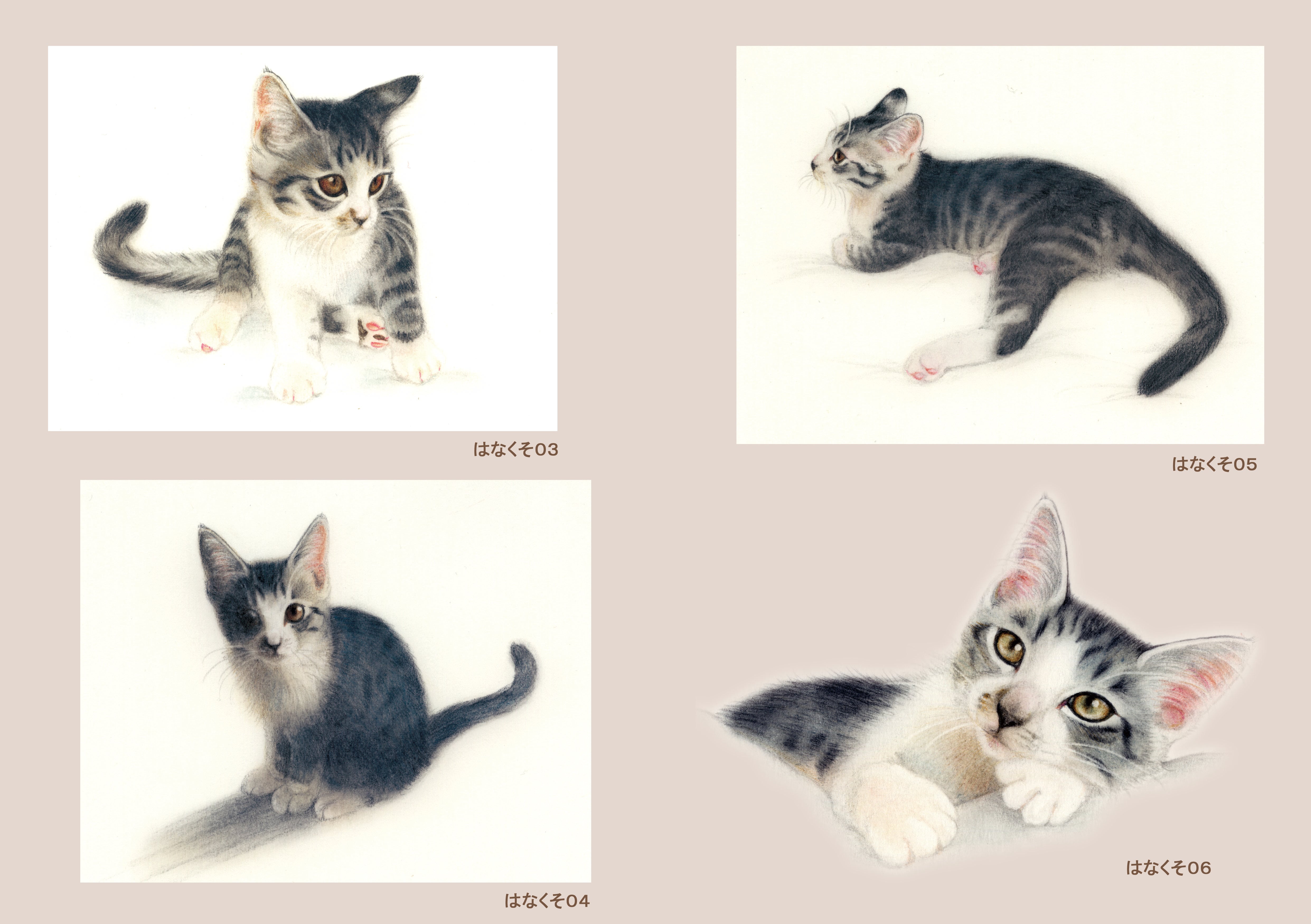 目羅健嗣猫絵画アーカイブ2004-2012 | アトリエマウリ