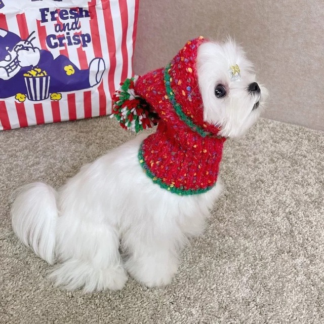 ポンポンニットキャップ