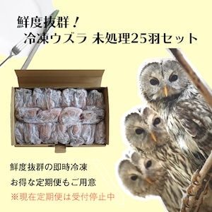 【２ケース】豊橋産 冷凍ウズラ 未処理 25羽2ケース 親ウズラ 猛禽類・爬虫類の餌に