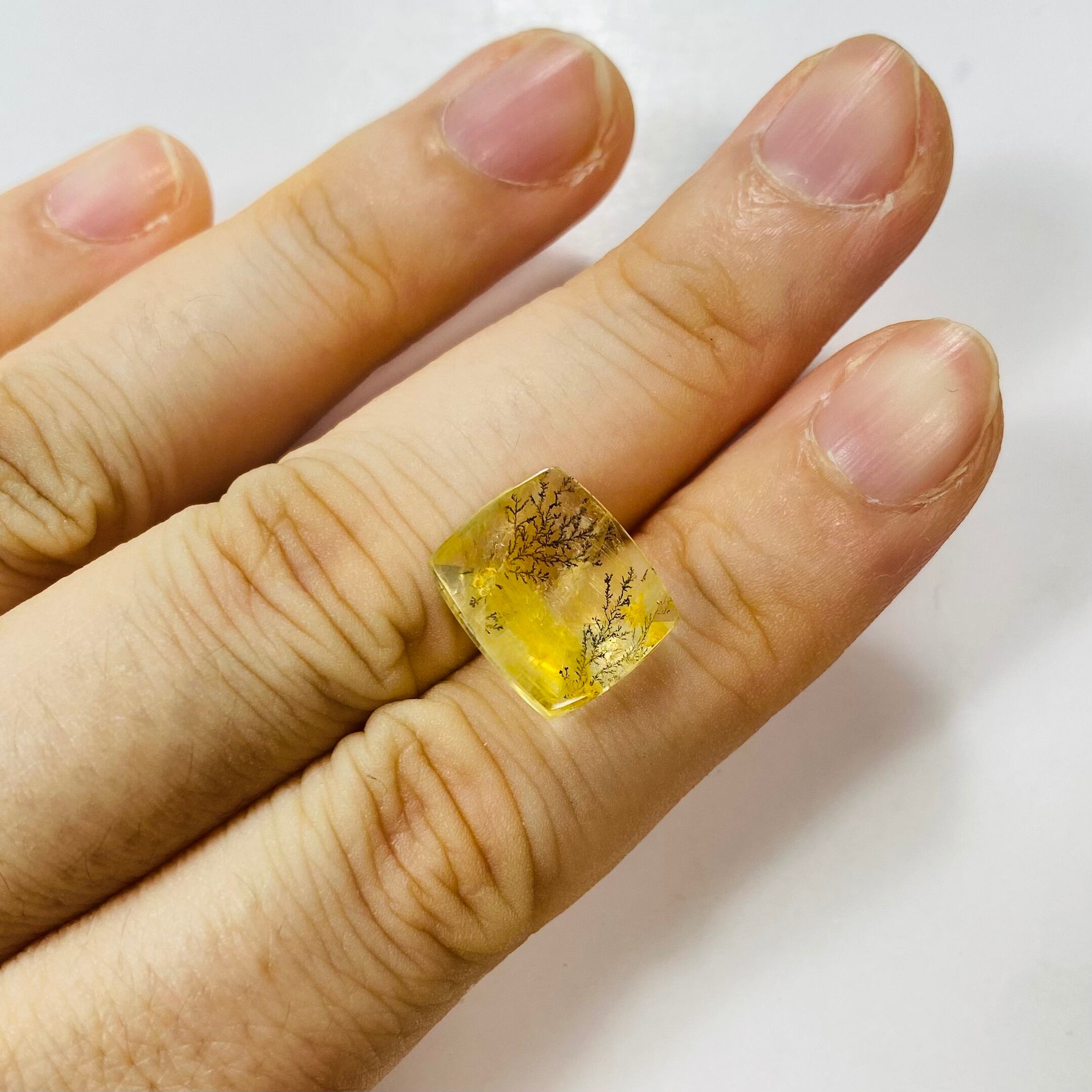 秋冬支度 デンドリティッククオーツ