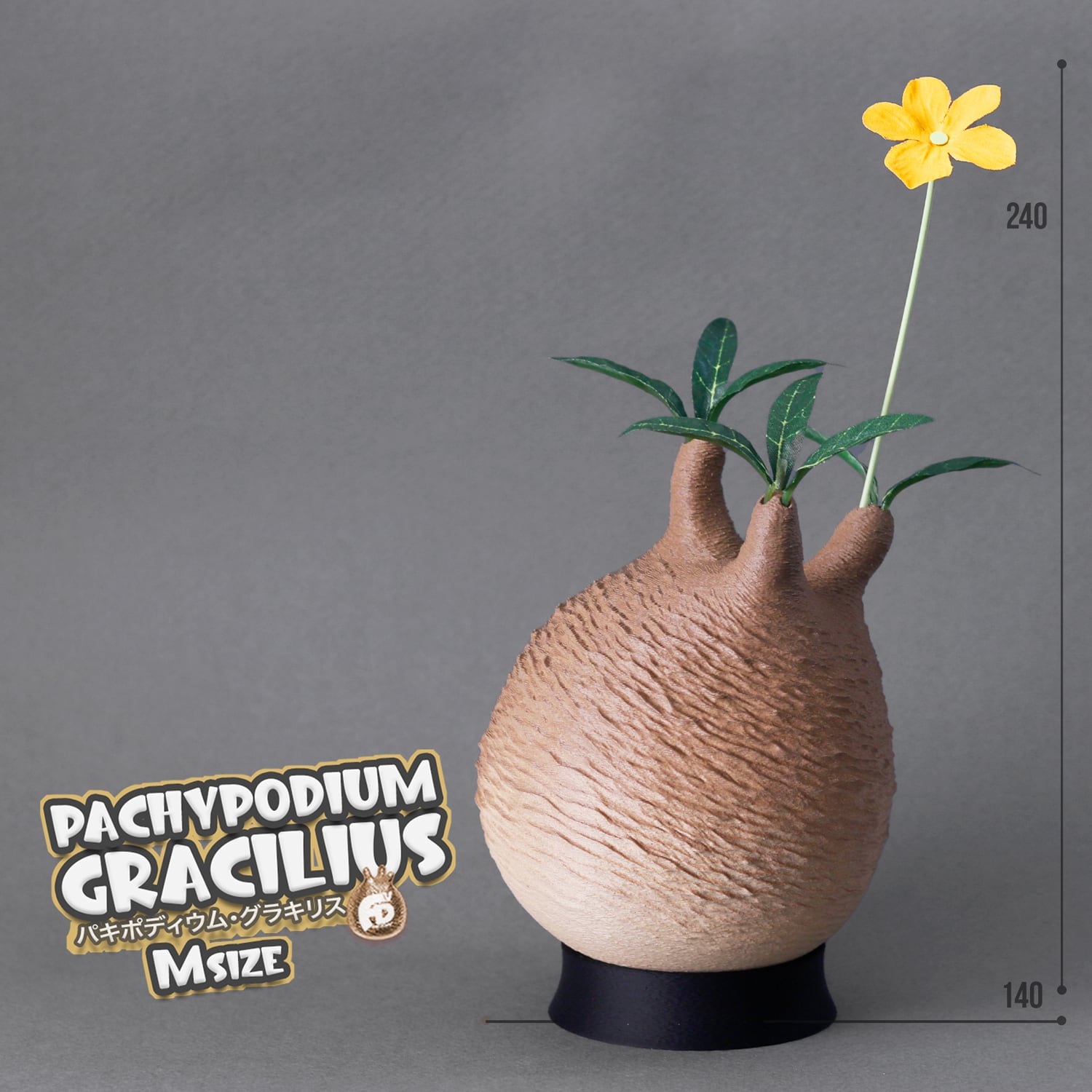 触れたくなるCaudex造形｜パキポディウム グラキリス｜(140x240) Msize