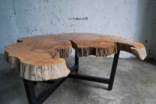 スポルテッド樫の輪切り一枚板 ローテーブル
