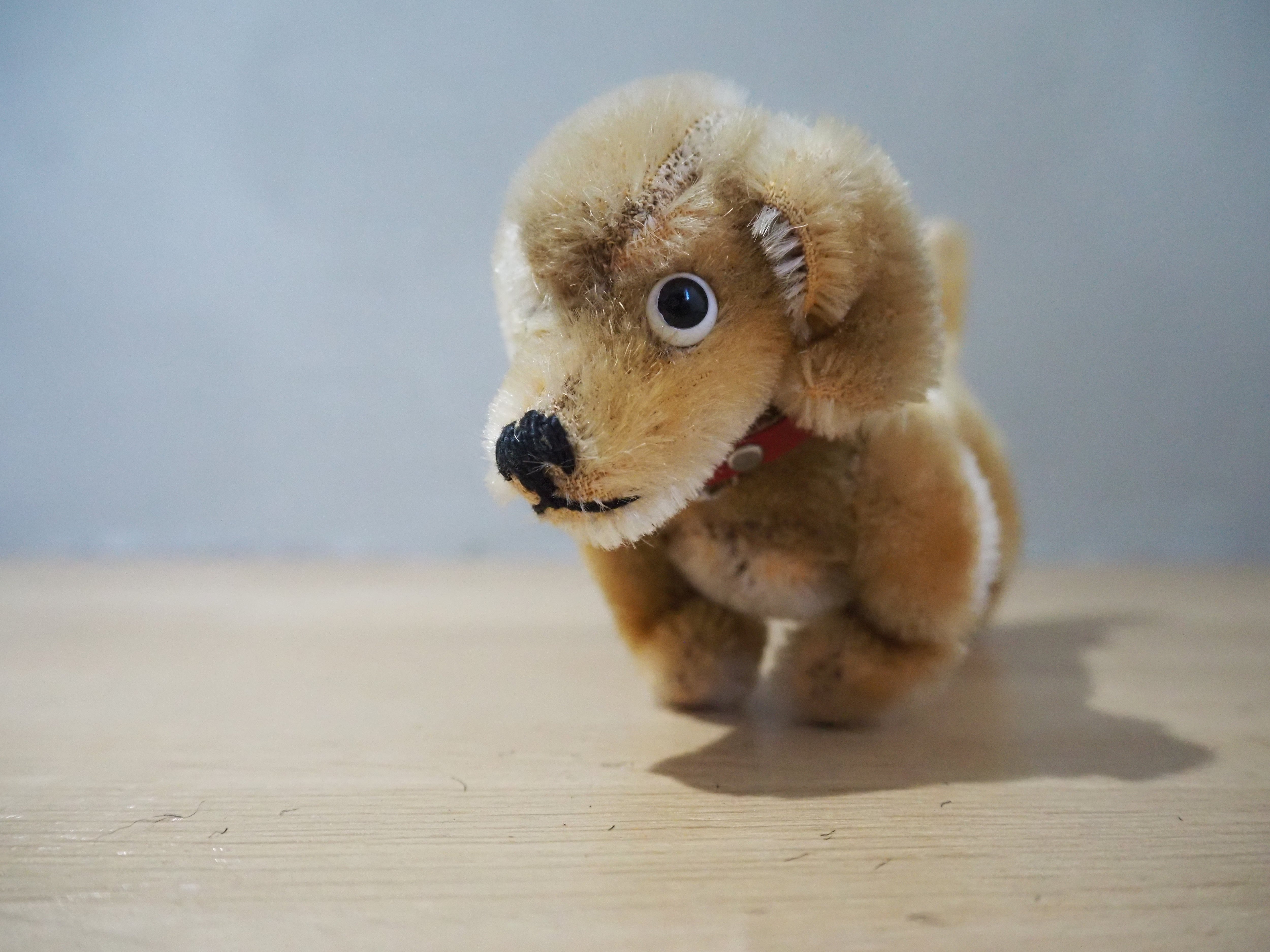 オールド シュタイフ ダックスフンド Steiff Hexie 9cm | ヒガシマチ