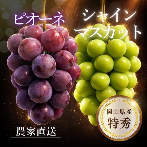 【特秀】岡山県産シャインマスカット・ピオーネ詰め合わせ2房（約1kg〜1.4kg）贈答用