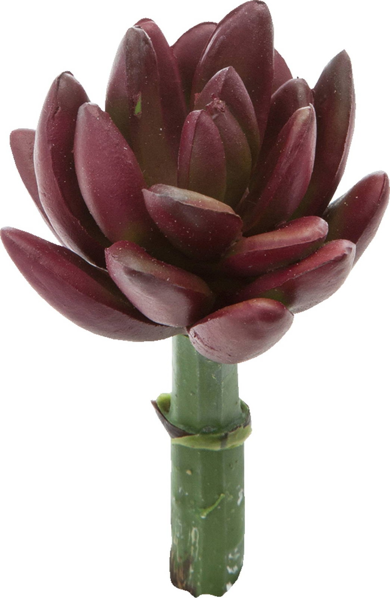 カクタスピック　　FG-4992BUR　4961823696138　造花（アーティフィシャルフラワー） > 定番造花グリーン（素材）