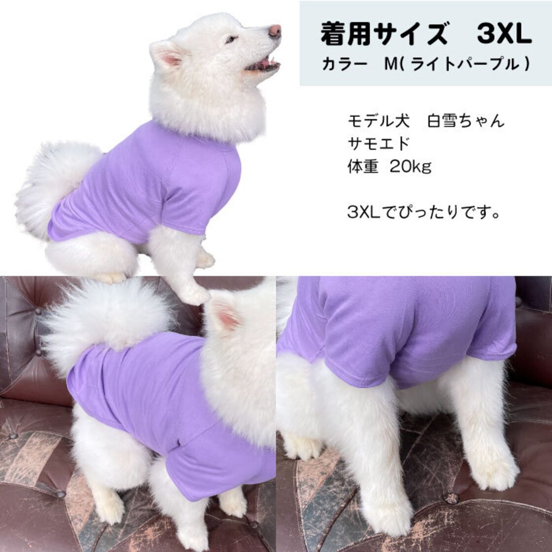 大型犬サイズ】KM045TS大型犬 服 犬 夏服 綿100％ Tシャツ 無地 