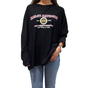 【NEW】 HARLEY BIG L/S Tee