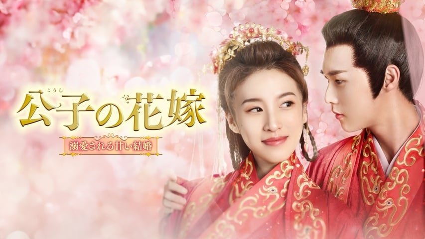 中国ドラマ 雪花咲く君を想う 全13巻 | Pay ID