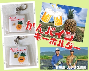 【大人気】★石垣島 ありっ！かんパイン！！ アクリルキーホルダー 全2種 プレゼントにも♪★