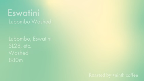Eswatini Lubombo, SL28, etc. - Washed 30g~