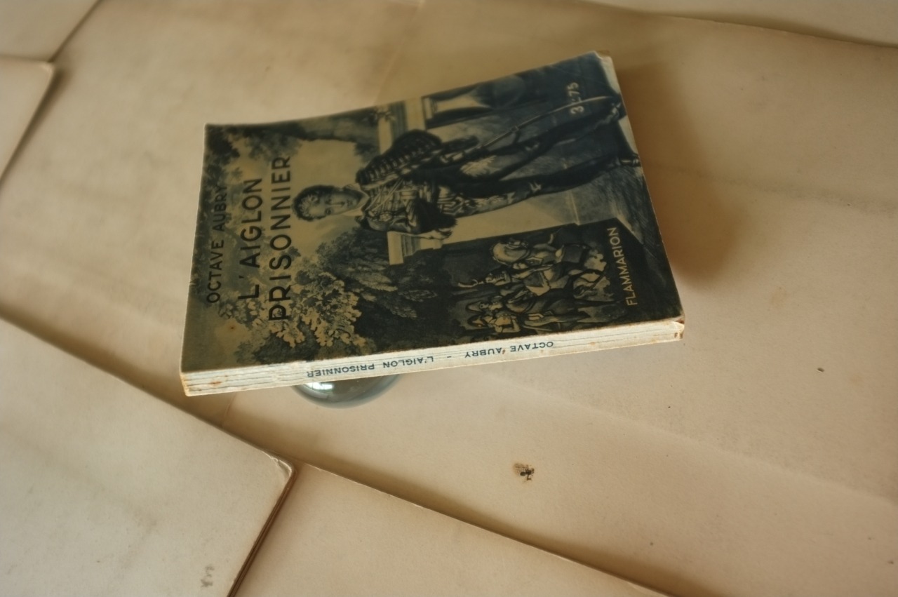 フランス 1935s L'aiglon Prisonnier　Octave Aubry  ナポレオンⅡ世またはローマ王について