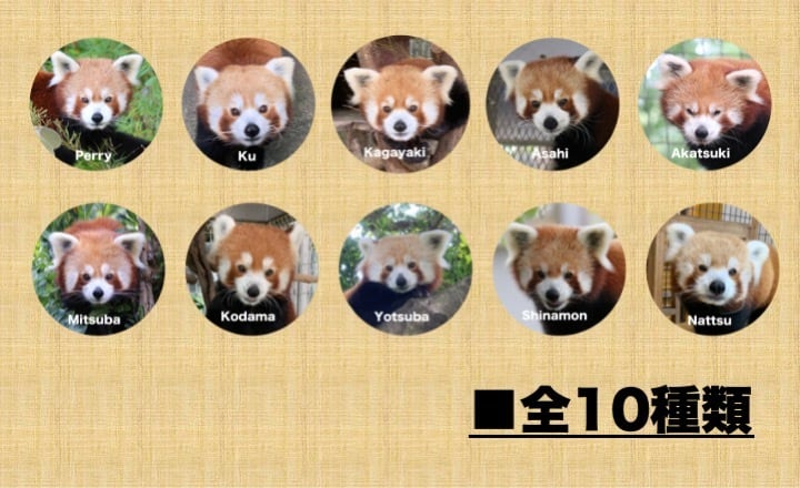 329c88bdfb7f15ae80ea62b0bf038b