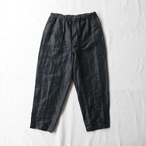 COMME des GARCONS HOMME 25SS ESTER RAMIE TWILL STRIPE PANTS
