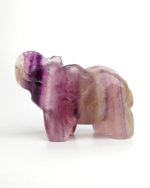 Fluorite フローライト ⭓ 象 ⭔ CARVING