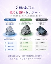 【新規取扱記念特典付き】 取扱開始記念 巡環プラスセット