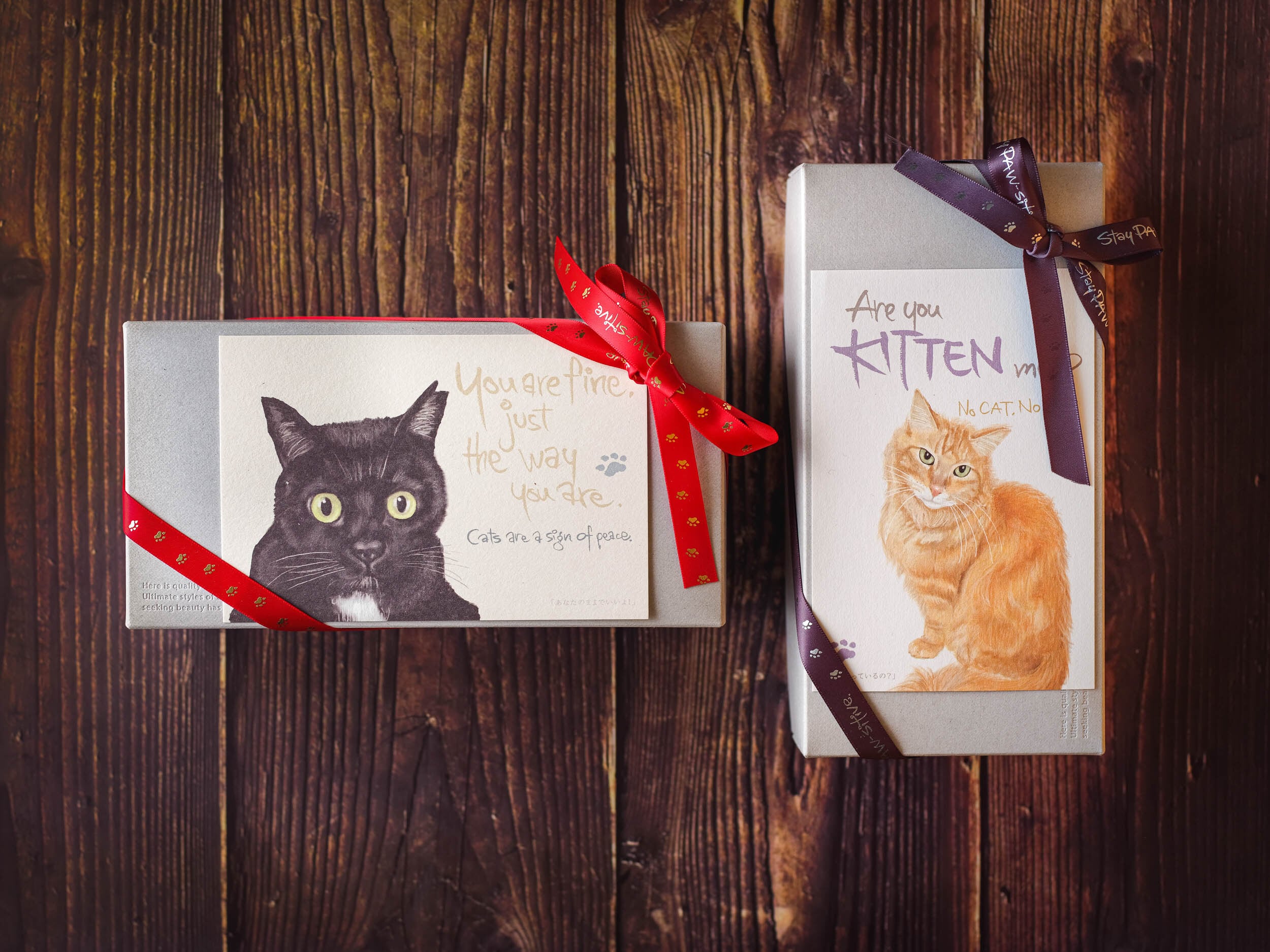 贅沢おつまみ5種類セット/猫ラッピングギフト | ナッツ専門店~Vegetus