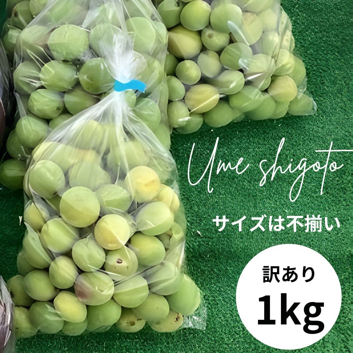 7月の朝採り直売野菜 ： 梅干し用生梅 約 1キロ 7月1日発送予定