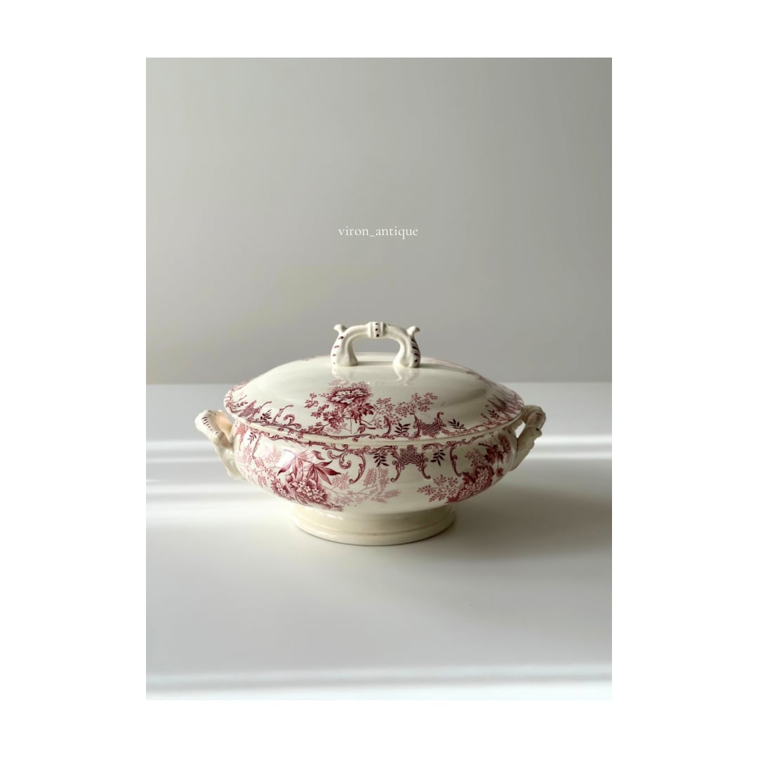 Choisy le roi ショワジールロワ / “FLOREAL” pink スーピエール