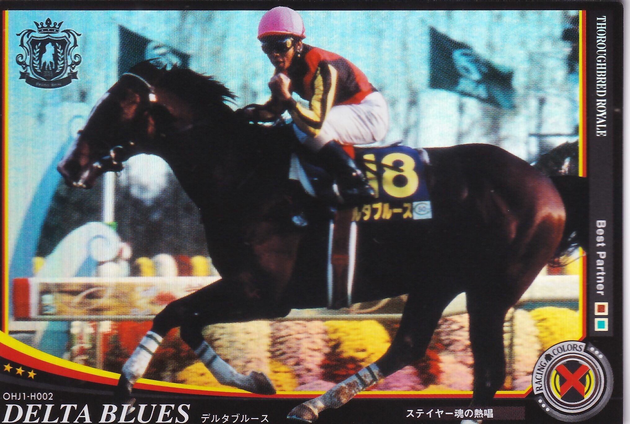 オーナーズホース | カードショップ うるま屋