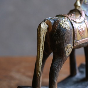 手放したくないほど美しい馬 15